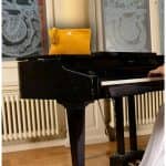 Camellia-Yellow-2 Camellia-Yellow-2