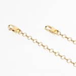 Carabiner-Chain-1 Gold plated hexagonal brass chain