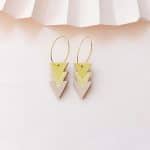 Holly-Mimosa Holly-Mimosa