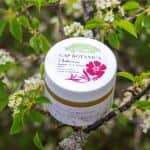 LAudacieux LAudacieux