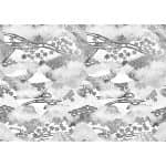 Landscape-Cloud-2 Landscape-Cloud-2