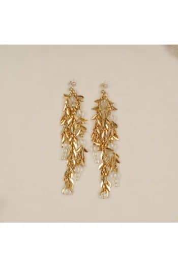 Crystals earrings to make you shine