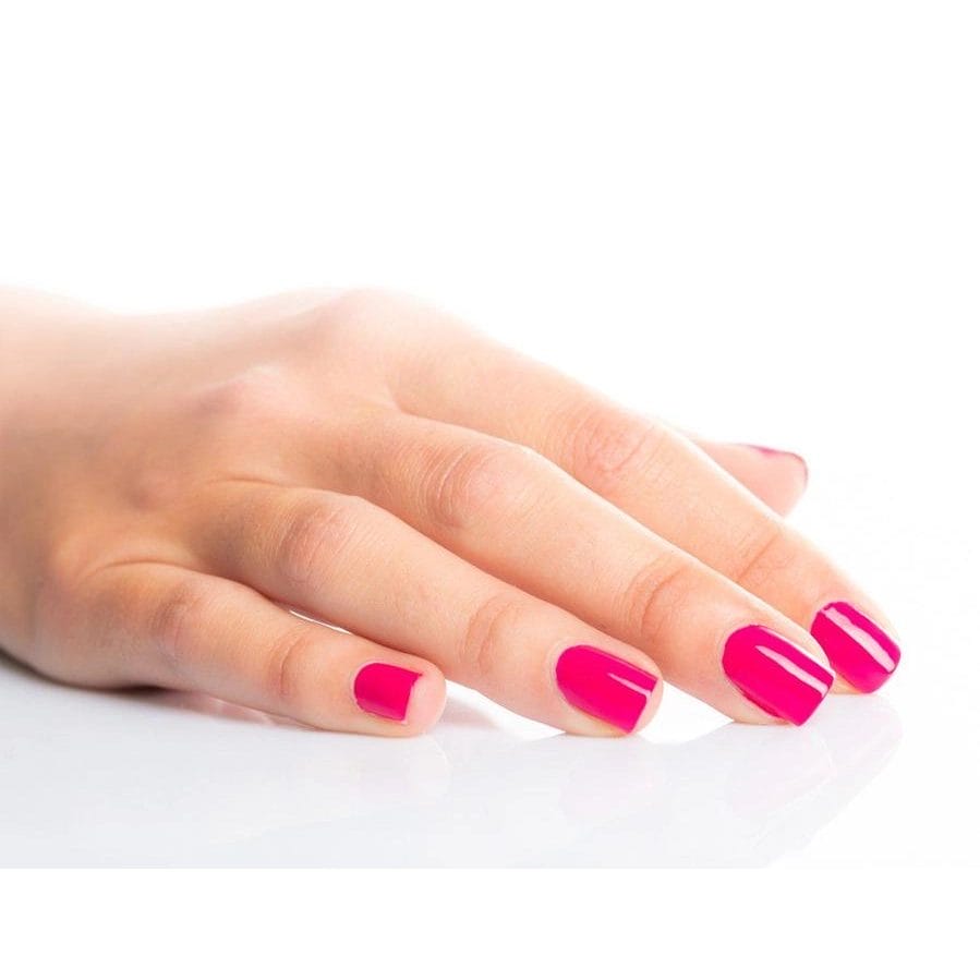 Let yourself be charmed by this flamboyant rose